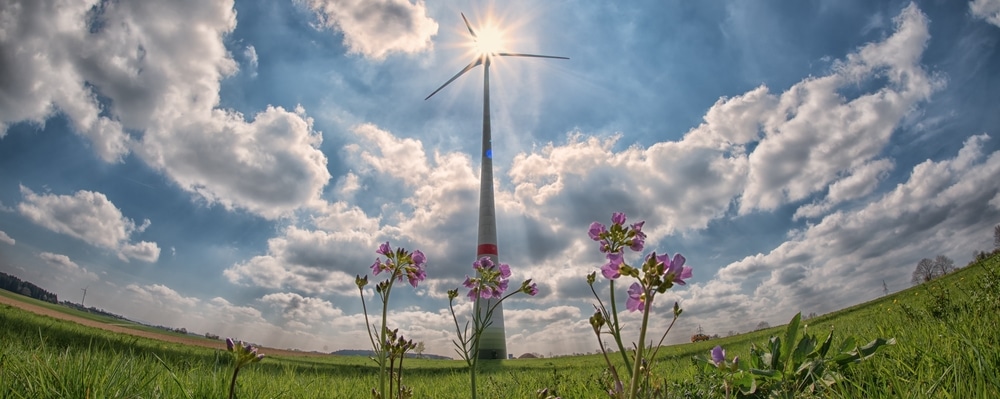 Sussex academics find 'smart strategies' can reduce emissions