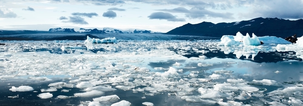 Sir David Attenborough speaks out on climate change and its devastating future