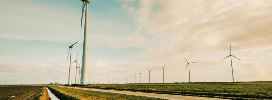 From Tokyo to Vienna – how online learning allowed one Energy Policy student to travel the world, work and study at the same time